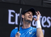 开云体育平台APP-日本网球队逆转英国网球队，穆雷爆发神勇的简单介绍