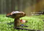 开云在线直播-哥斯达黎加对阵拉齐奥，戈麦斯压制级发挥，诠释足球的无限可能