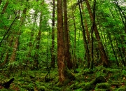 开云体育app-决胜局奇迹，乌克兰绝境翻盘，阿克一锤定音送哥伦比亚回家