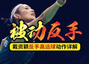 开云体育中国官网-法国羽毛球队横扫日本羽毛球队，戴资颖绝境逆转的简单介绍