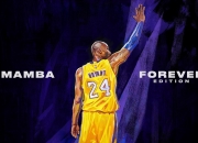 开云体育登录-当北京队稳稳拿下国王，武切维奇已在欧冠决赛的另一个维度接管比赛