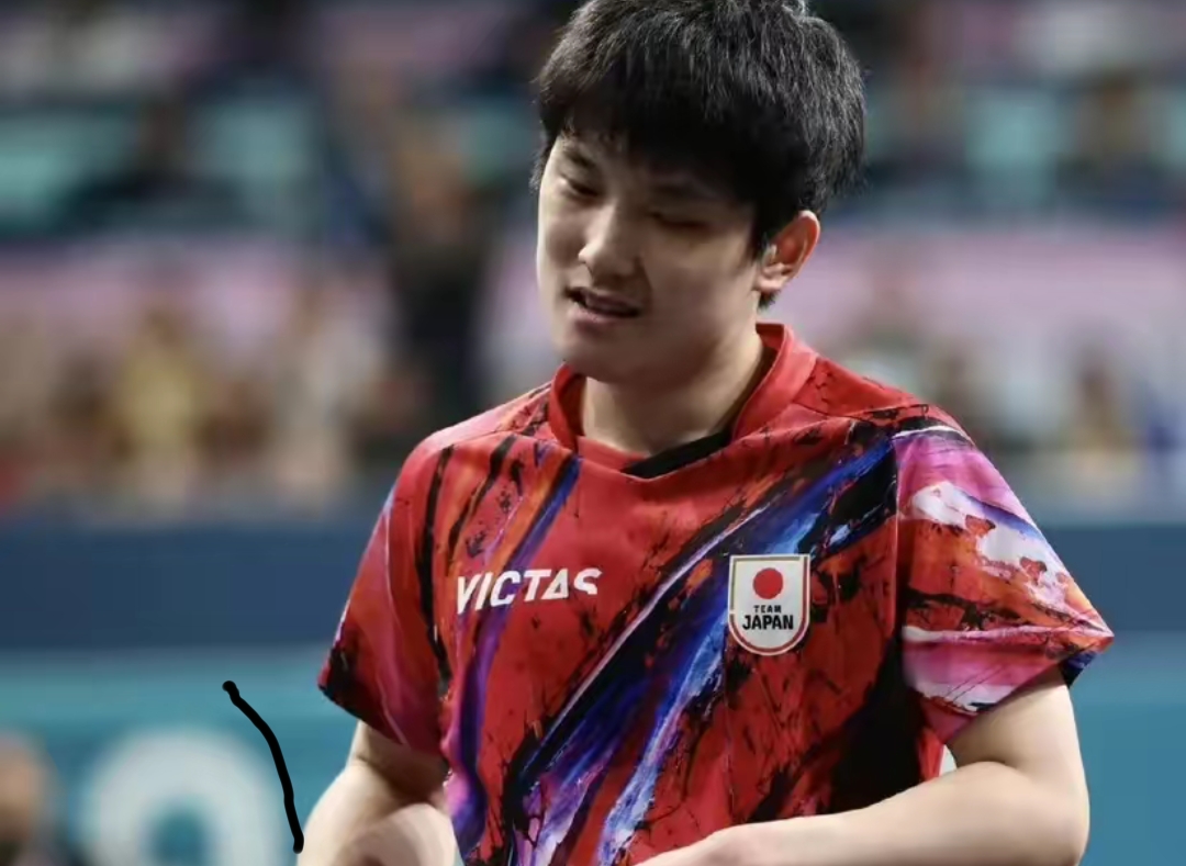 关于中国乒乓球队横扫德国乒乓球队，张本智和送出助攻的信息