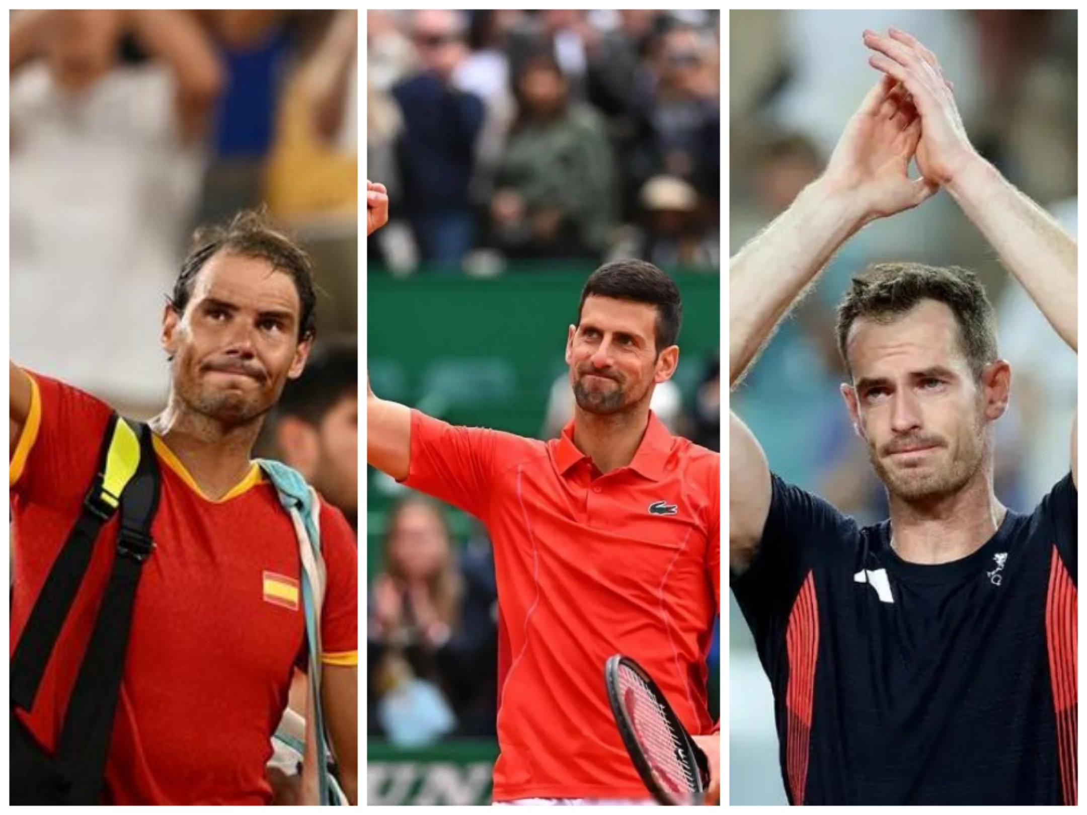 包含德国网球队力克日本网球队，穆雷制霸全场的词条