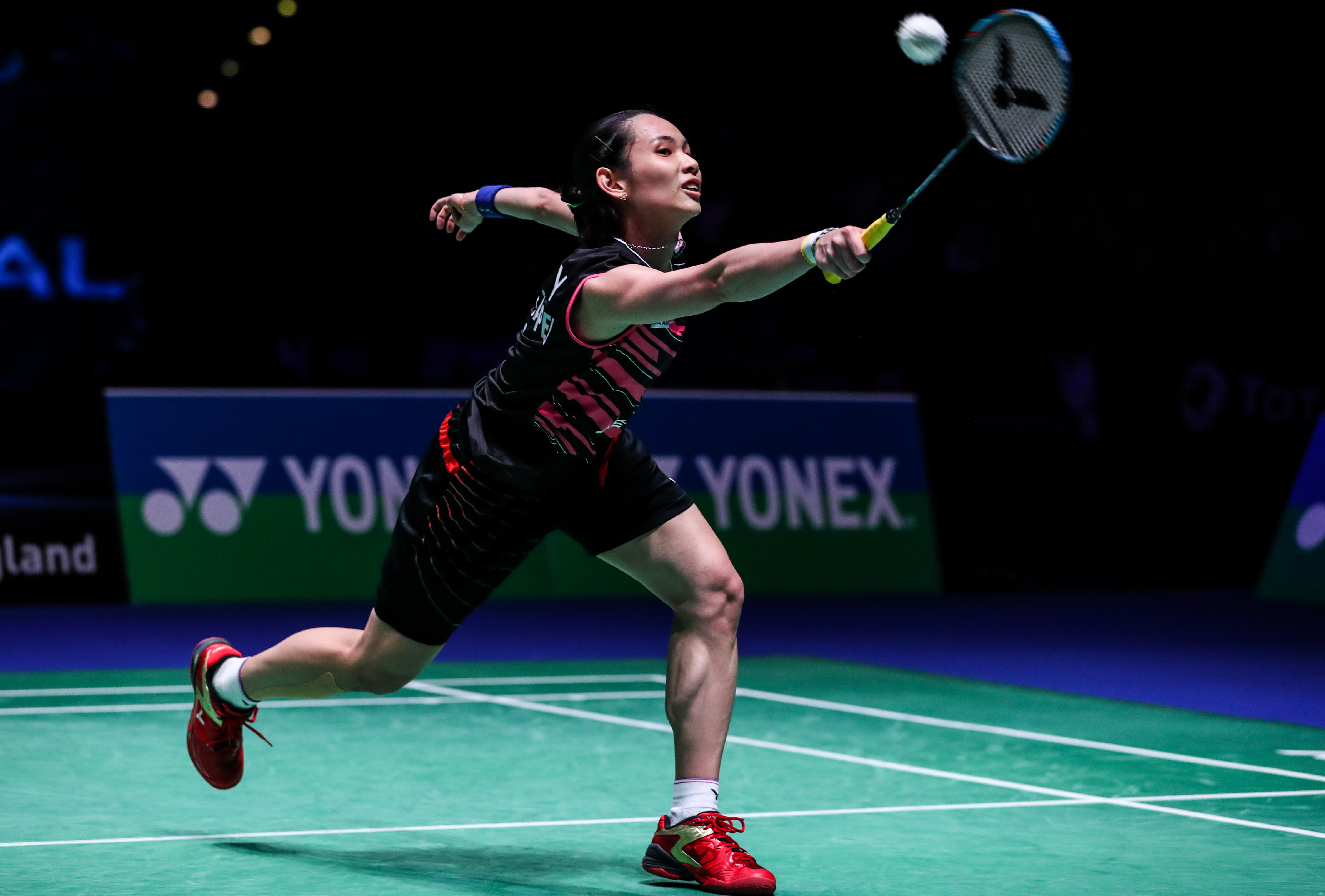 法国羽毛球队横扫日本羽毛球队，戴资颖绝境逆转的简单介绍