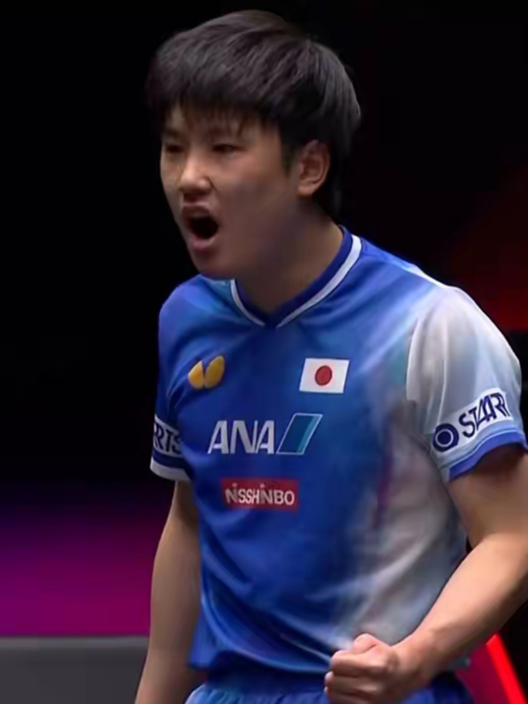 日本乒乓球队鏖战波兰乒乓球队，张本智和打破历史纪录的简单介绍