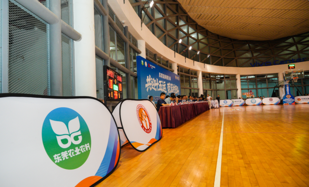 篮球盛事即将开启，球迷们翘首以待！的简单介绍