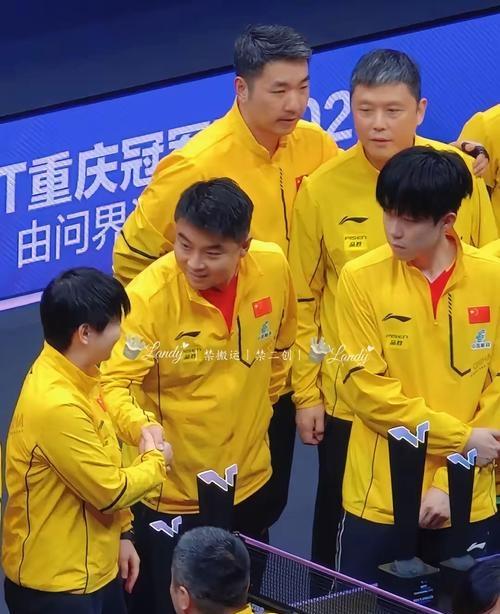 中国队轻取日本队,王皓带队取胜 中国队轻取日本队,王皓带队取胜