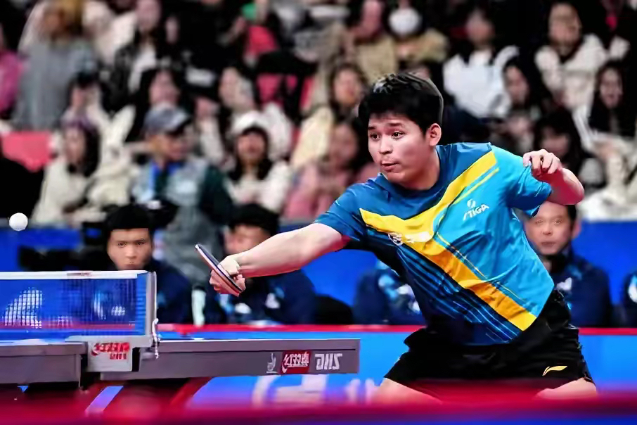 包含比利时乒乓球队鏖战韩国乒乓球队，许昕打破历史纪录的词条