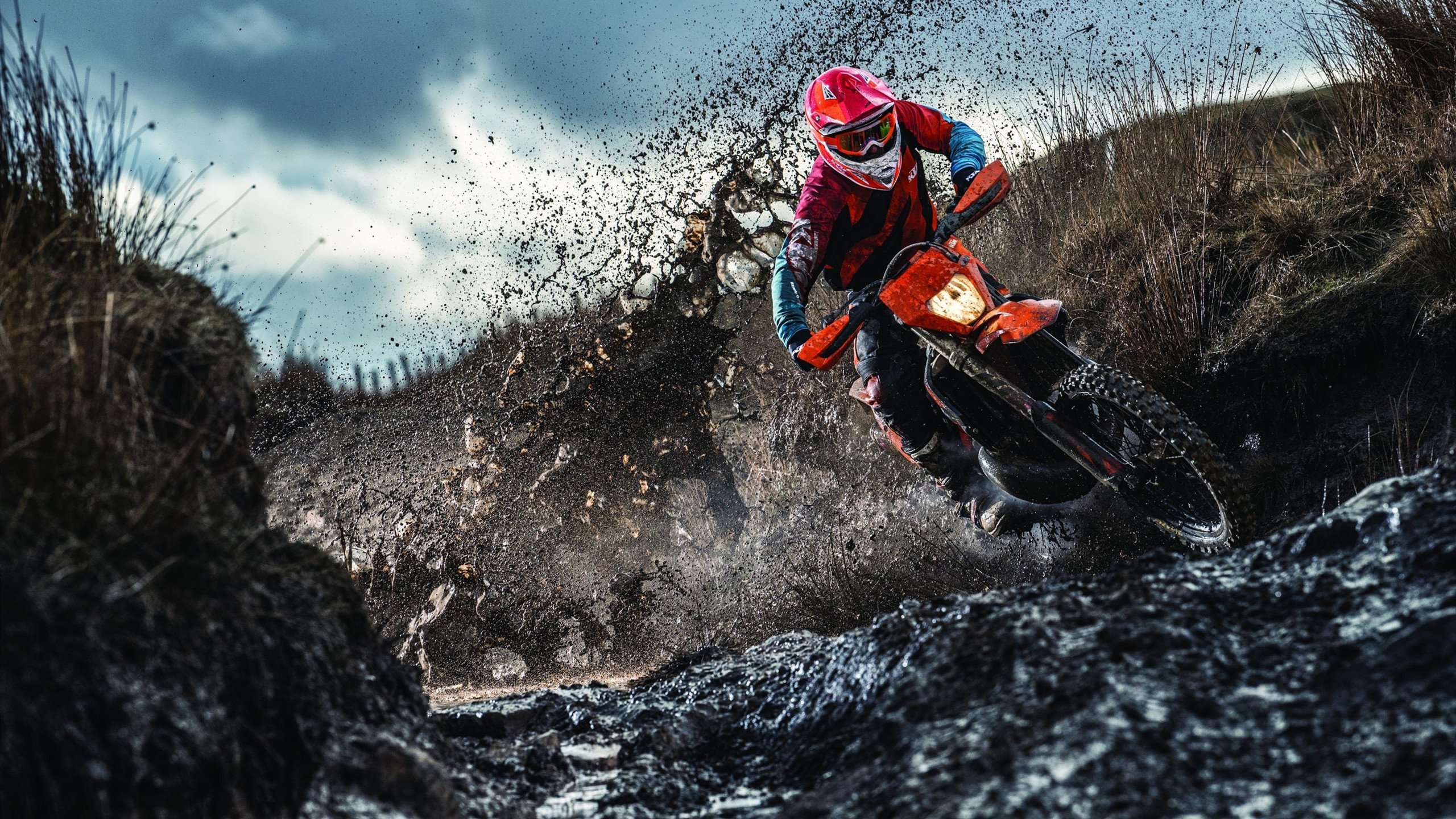 老鹰决胜局展翅高飞，德甲争冠焦点战上演北京时刻